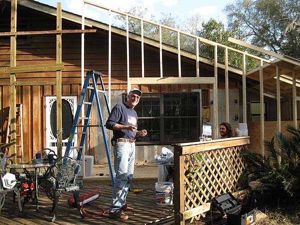 Dancing Peacock Paradise