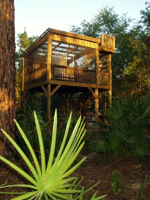 tree house at Dancing Peacock Paradise